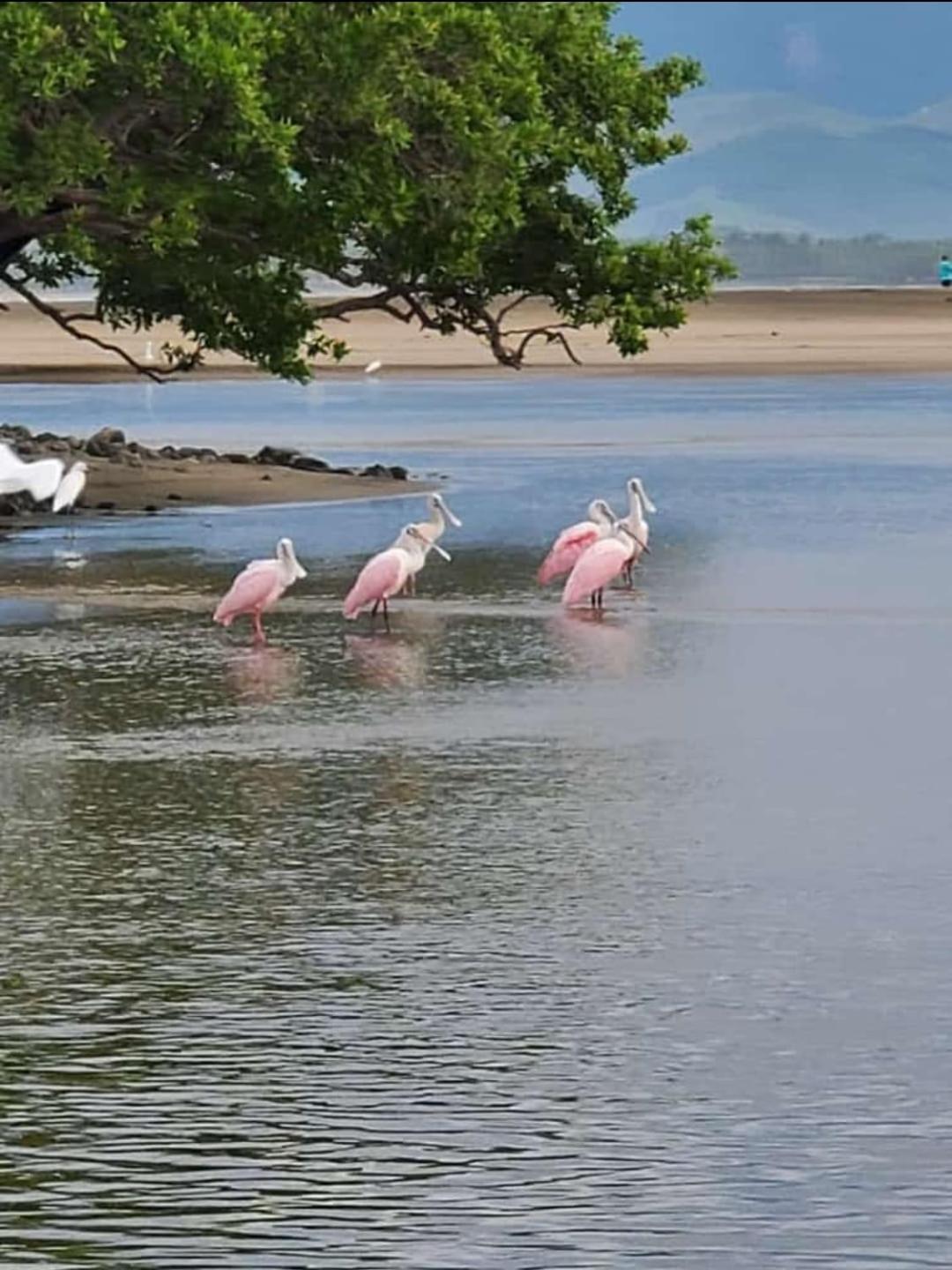 Turtle Beach Villas Zihuatanejo Zewnętrze zdjęcie
