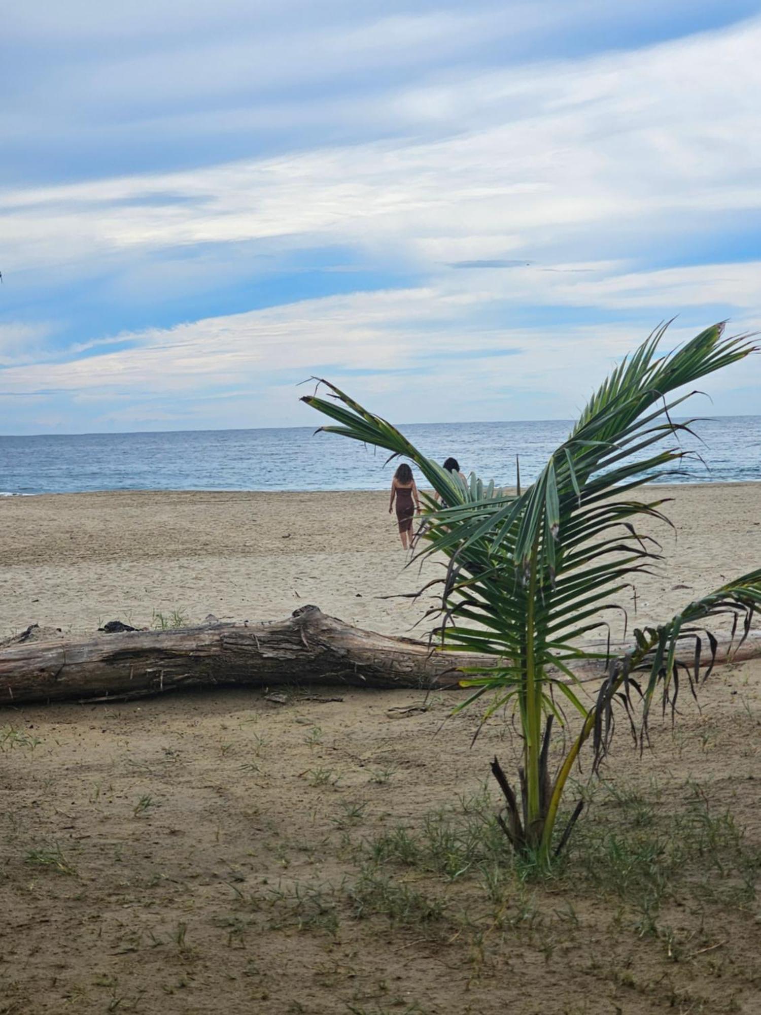Turtle Beach Villas Zihuatanejo Zewnętrze zdjęcie